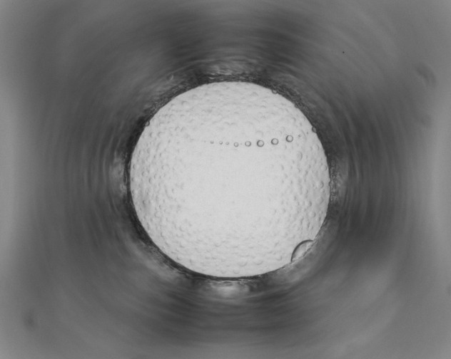 X0000111210187200907291259