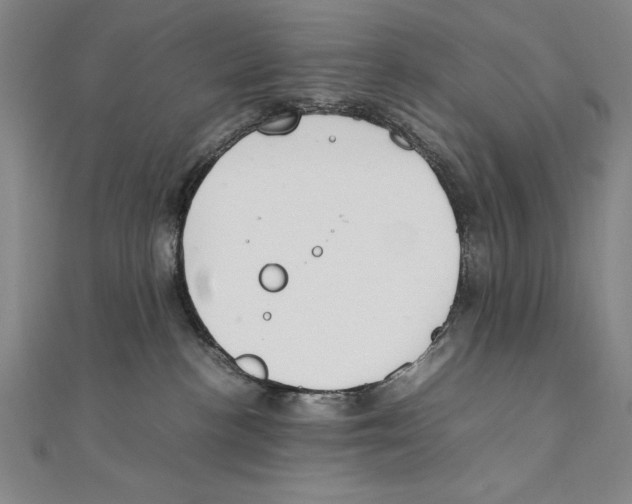 X0000111210188200907291259