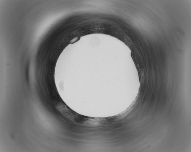 X0000111210190200907291259