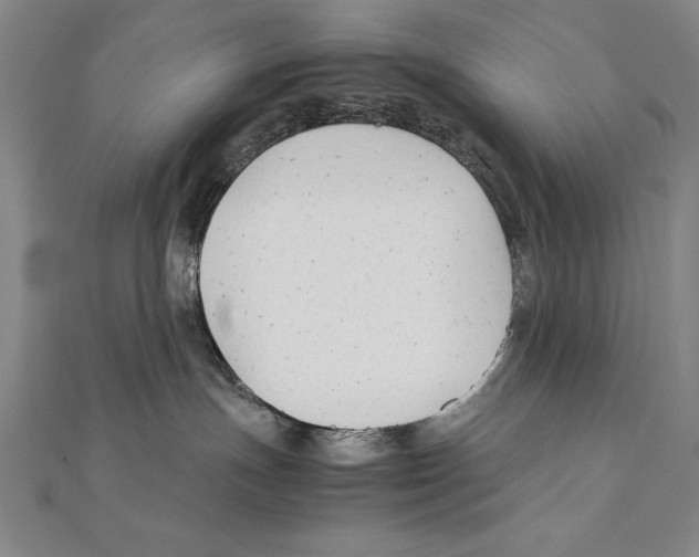 X0000111210191200907291259