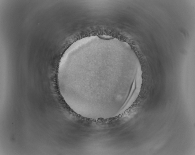 X0000111210192200907291259