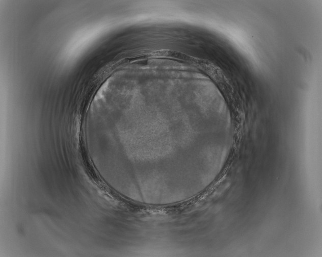 X0000111210194200907291258