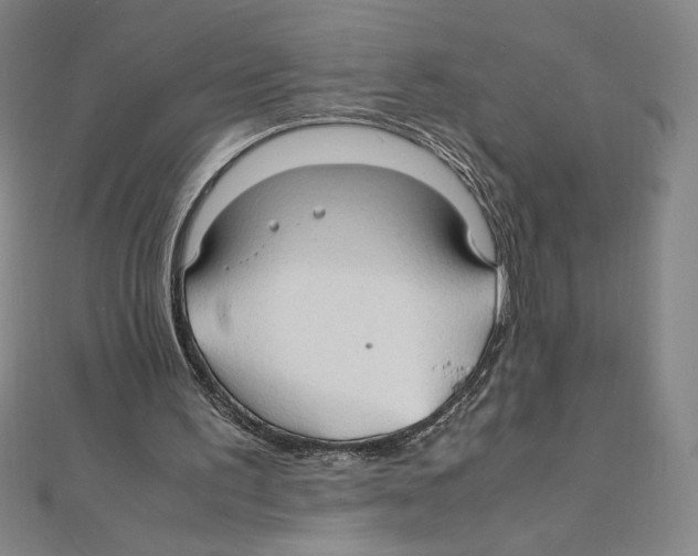 X0000111210195200907291258