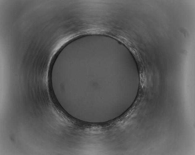 X0000111210196200907291258