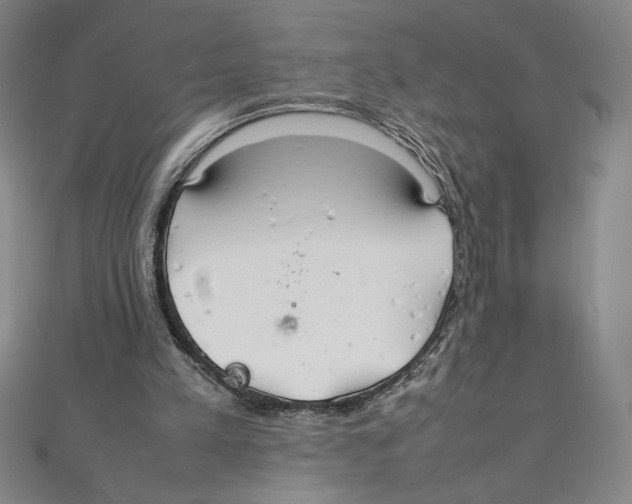 X0000111210197200907291258