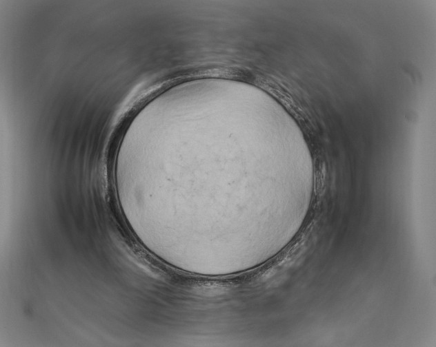 X0000111210198200907291258