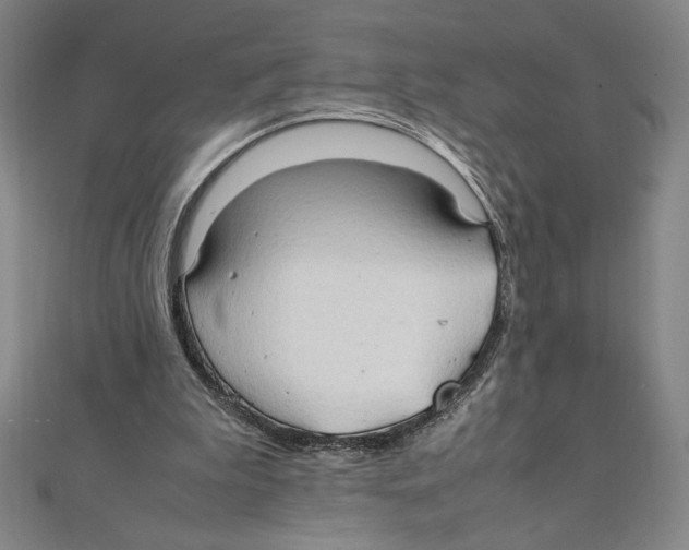 X0000111210199200907291258