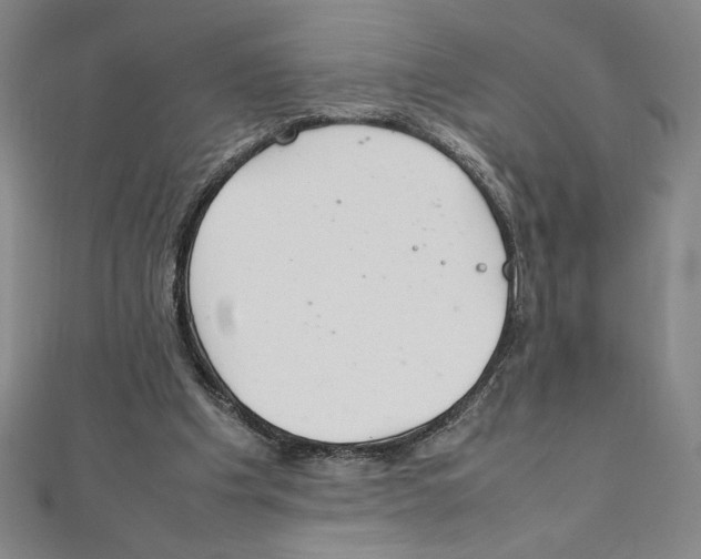 X0000111210201200907291258