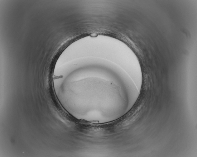 X0000111210203200907291258