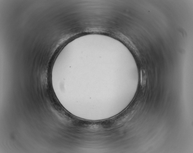 X0000111210204200907291258