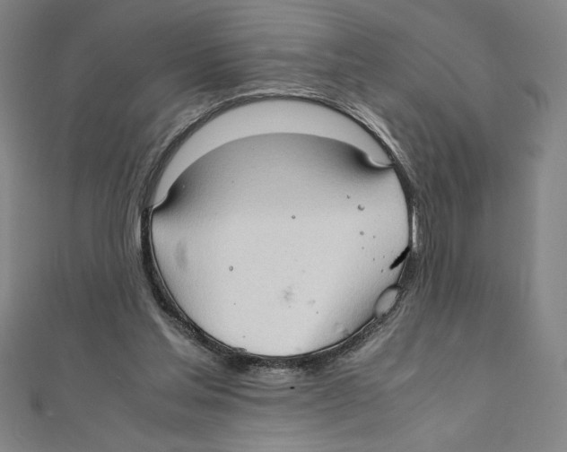 X0000111210205200907291258