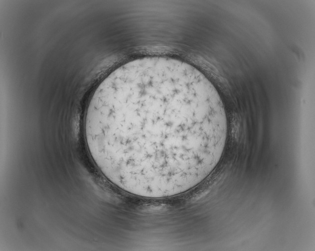 X0000111210206200907291258