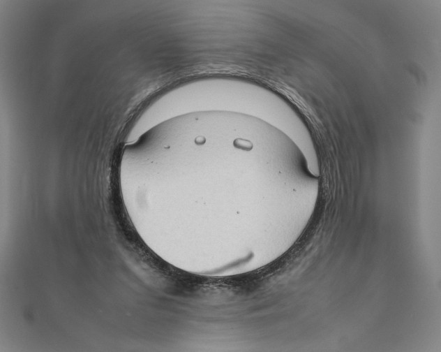 X0000111210207200907291258