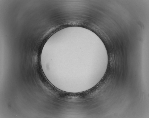 X0000111210208200907291258