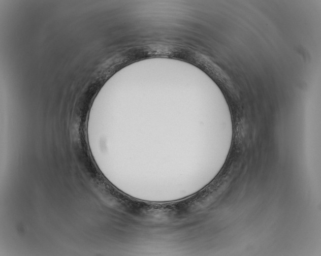 X0000111210209200907291258