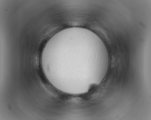 X0000111210210200907291258