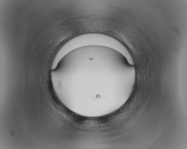 X0000111210211200907291258