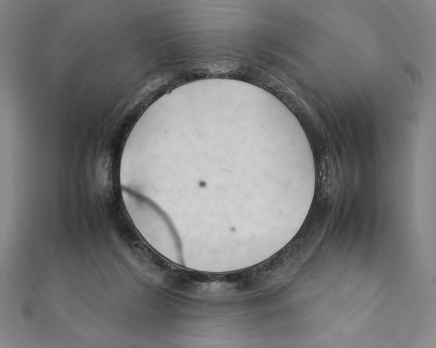 X0000111210212200907291258