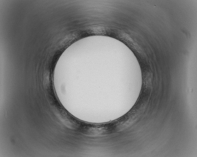 X0000111210213200907291258