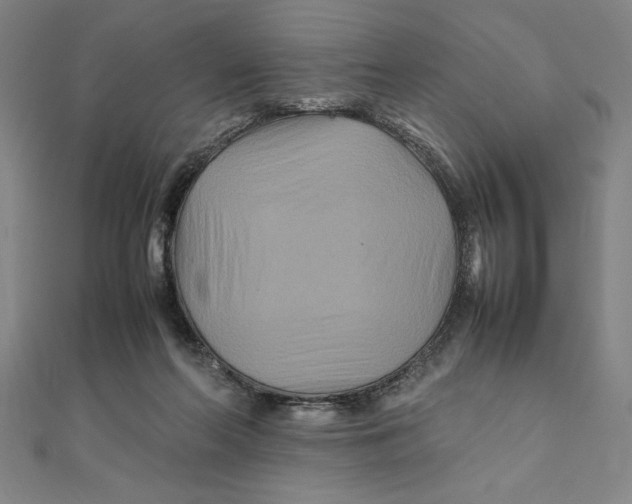 X0000111210214200907291258