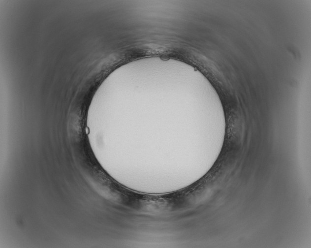 X0000111210215200907291258