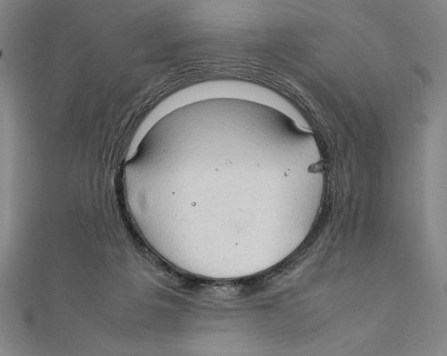 X0000111210217200907291258