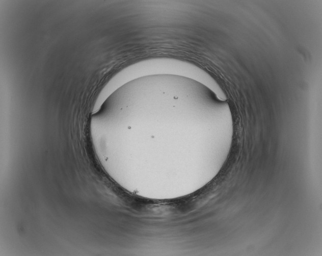 X0000111210219200907291258