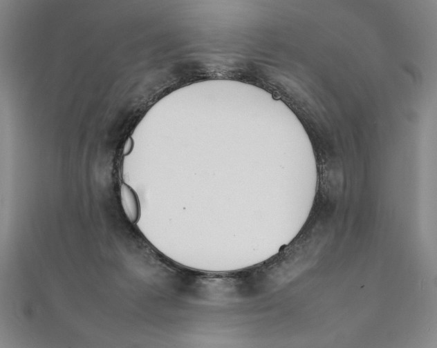 X0000111210221200907291258