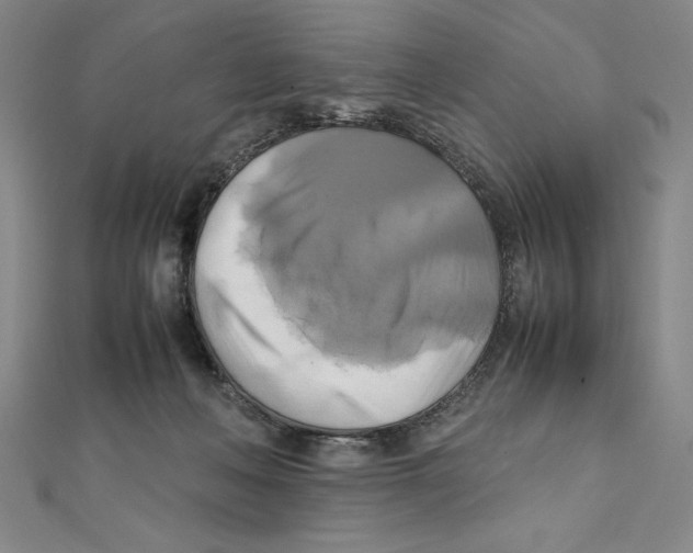 X0000111210222200907291258