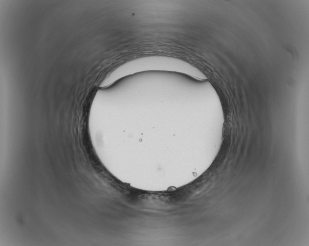 X0000111210223200907291258