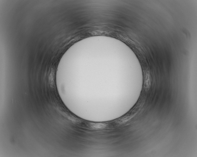 X0000111210226200907291258