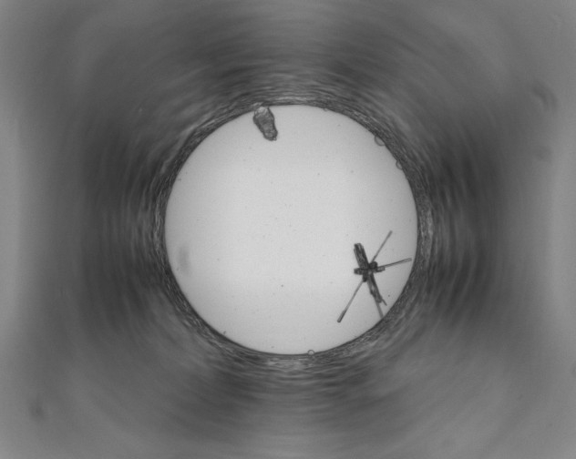 X0000111210228200907291258