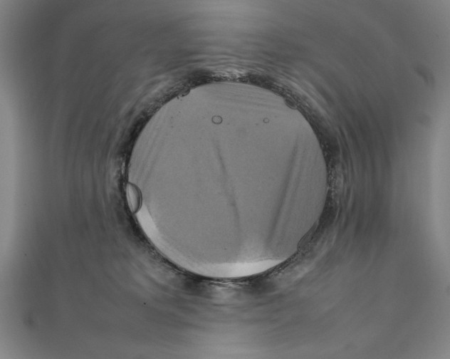 X0000111210229200907291258