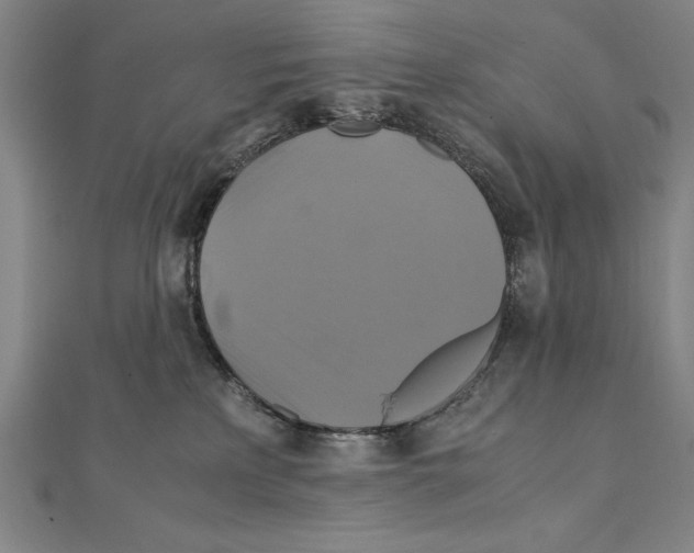 X0000111210233200907291258