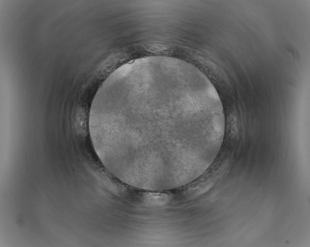 X0000111210234200907291258