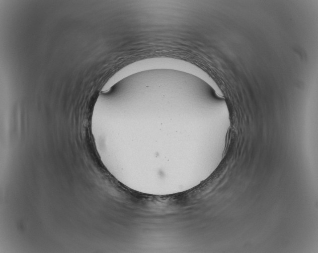 X0000111210235200907291258