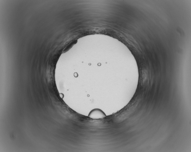 X0000111210236200907291258