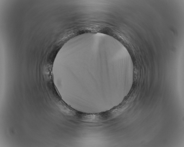 X0000111210237200907291258