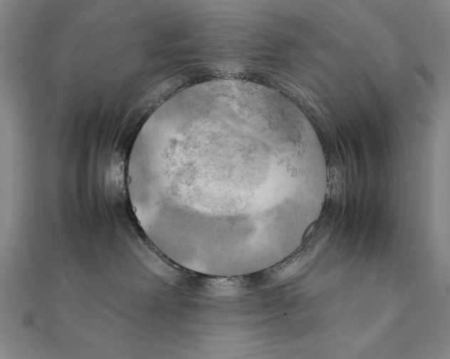 X0000111210238200907291258