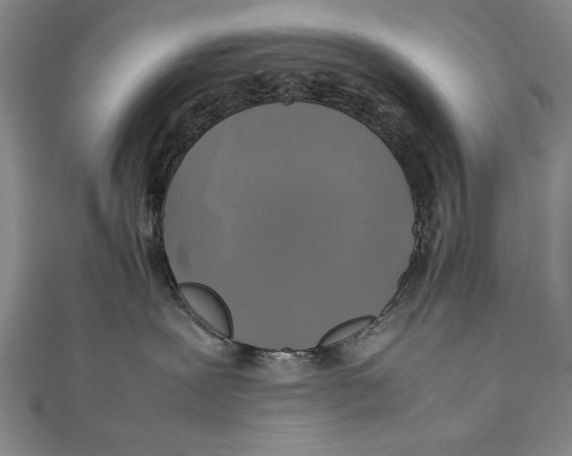 X0000111210239200907291258