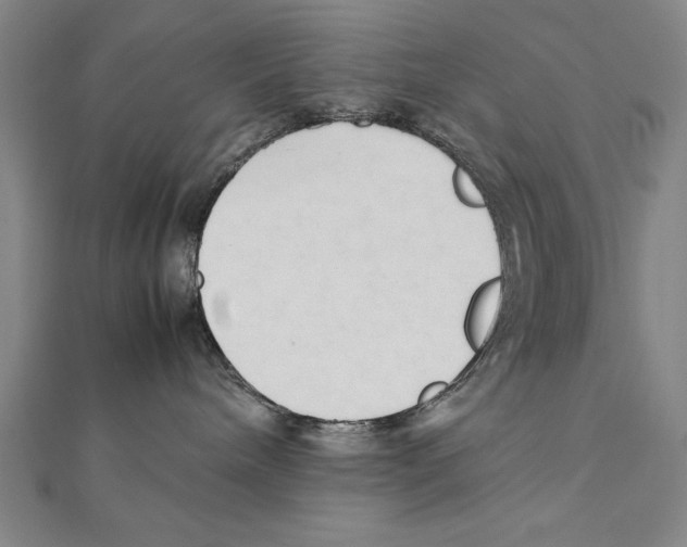 X0000111210240200907291258