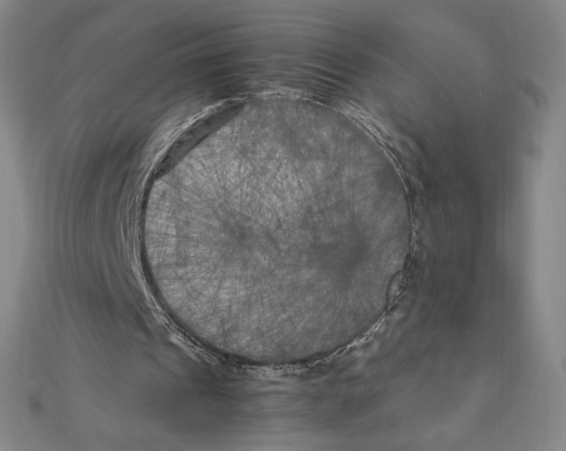 X0000111210241200907291257