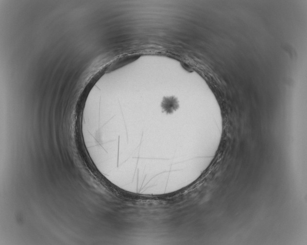 X0000111210242200907291257