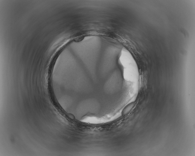 X0000111210243200907291257