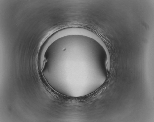 X0000111210244200907291257