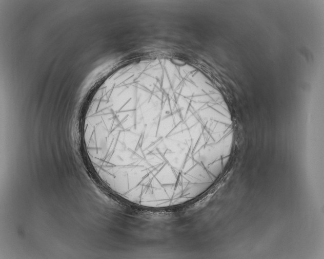 X0000111210245200907291257