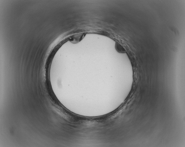 X0000111210246200907291257