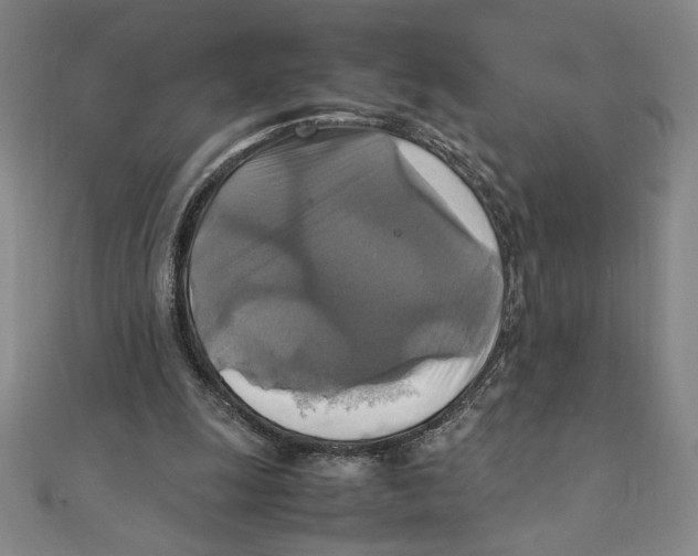 X0000111210247200907291257