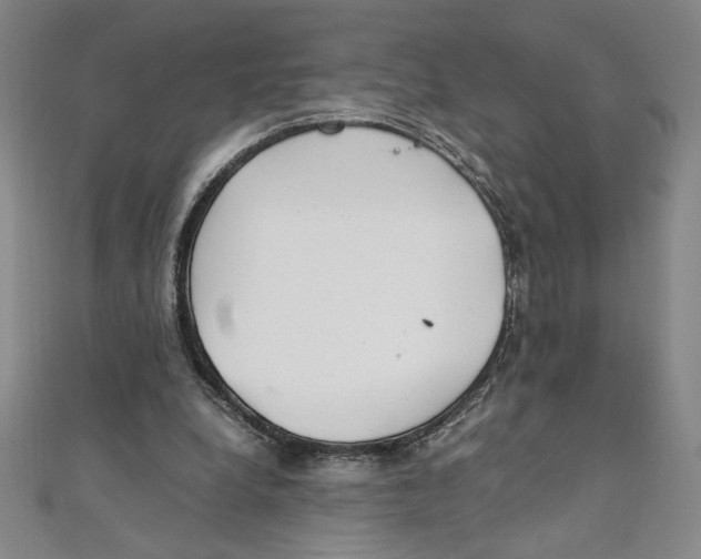 X0000111210248200907291257