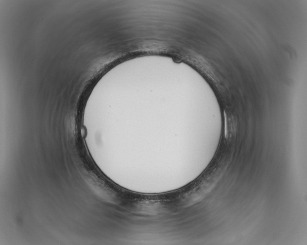 X0000111210252200907291257